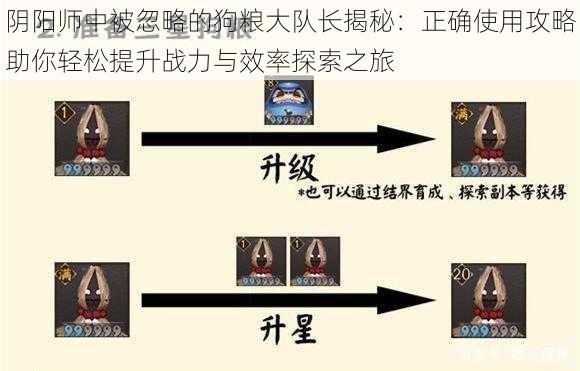 阴阳师中被忽略的狗粮大队长揭秘:正确使用攻略助你轻松提升战力与效率探索之旅
