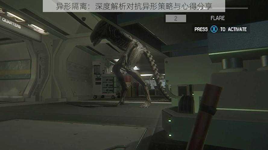 异形隔离:深度解析对抗异形策略与心得分享
