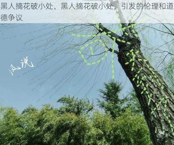 黑人摘花破小处、黑人摘花破小处,引发的伦理和道德争议