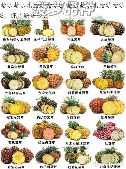 菠萝菠萝蜜菠萝菠萝8_菠萝菠萝蜜菠萝菠萝 8,你了解多少?