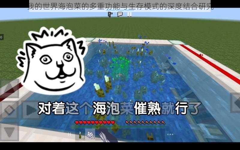 我的世界海泡菜的多重功能与生存模式的深度结合研究