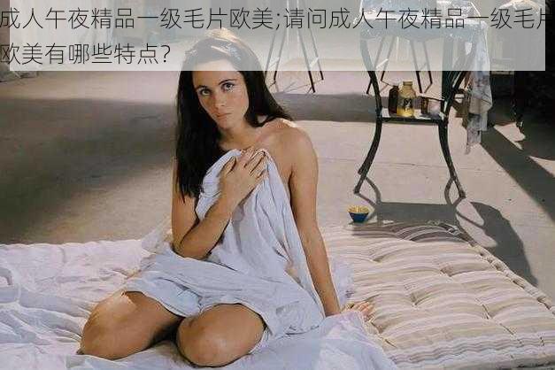 成人午夜精品一级毛片欧美;请问成人午夜精品一级毛片欧美有哪些特点?