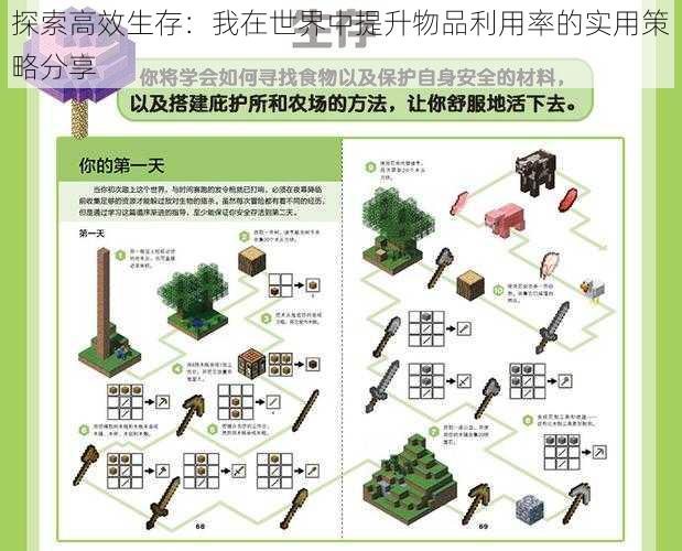 探索高效生存:我在世界中提升物品利用率的实用策略分享
