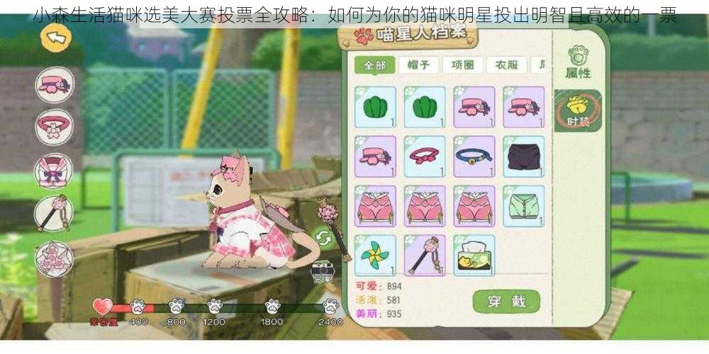 小森生活猫咪选美大赛投票全攻略:如何为你的猫咪明星投出明智且高效的一票