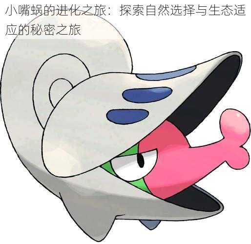 小嘴蜗的进化之旅:探索自然选择与生态适应的秘密之旅