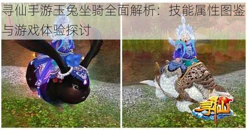 寻仙手游玉兔坐骑全面解析:技能属性图鉴与游戏体验探讨
