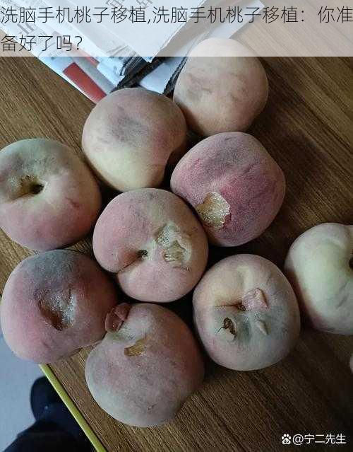洗脑手机桃子移植,洗脑手机桃子移植:你准备好了吗?