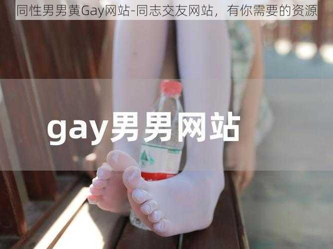 同性男男黄Gay网站-同志交友网站,有你需要的资源