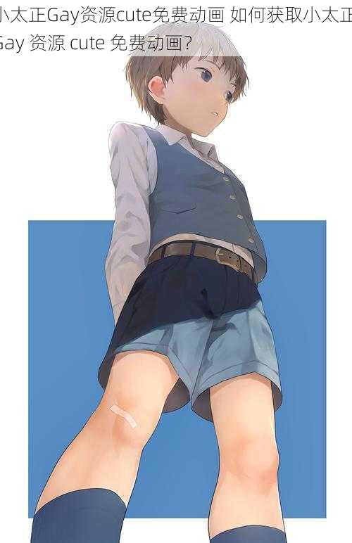 小太正Gay资源cute免费动画 如何获取小太正 Gay 资源 cute 免费动画?