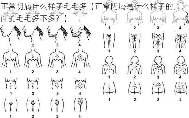 正常阴脣什么样子毛毛多【正常阴脣是什么样子的,上面的毛毛多不多?】