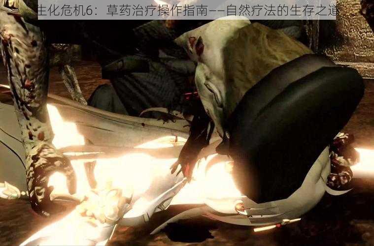 生化危机6:草药治疗操作指南——自然疗法的生存之道