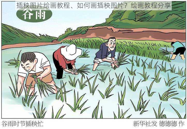 插秧图片绘画教程、如何画插秧图片?绘画教程分享