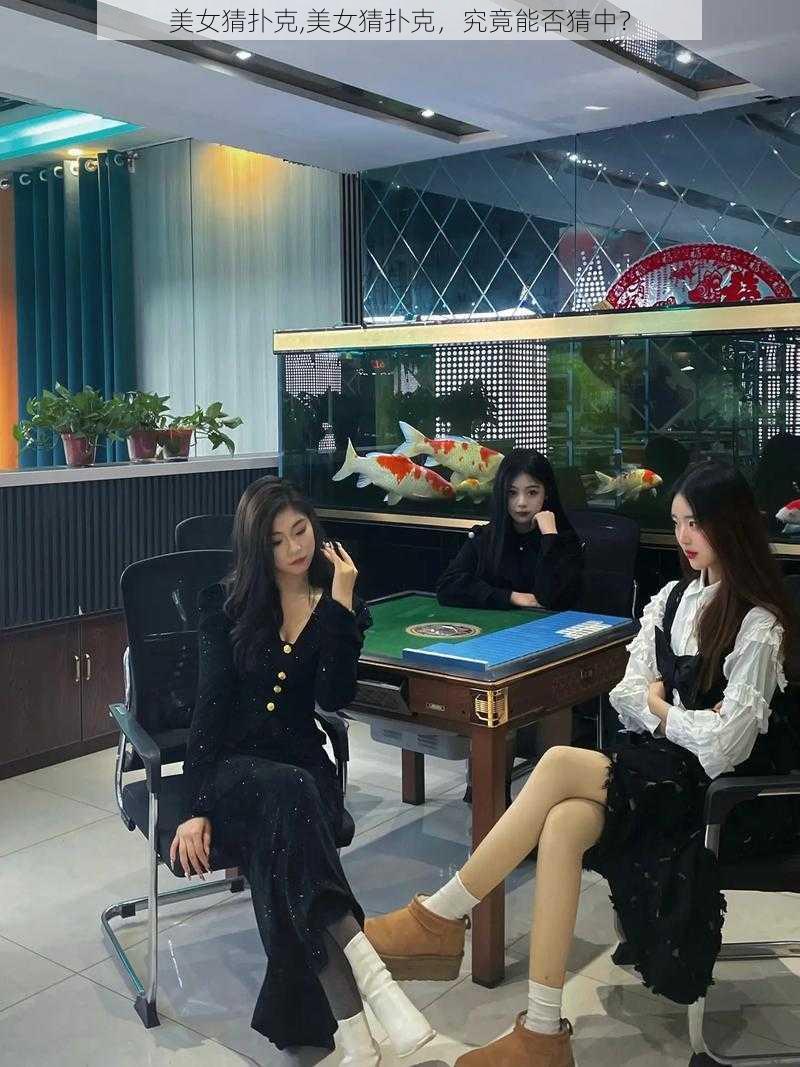 美女猜扑克,美女猜扑克,究竟能否猜中?
