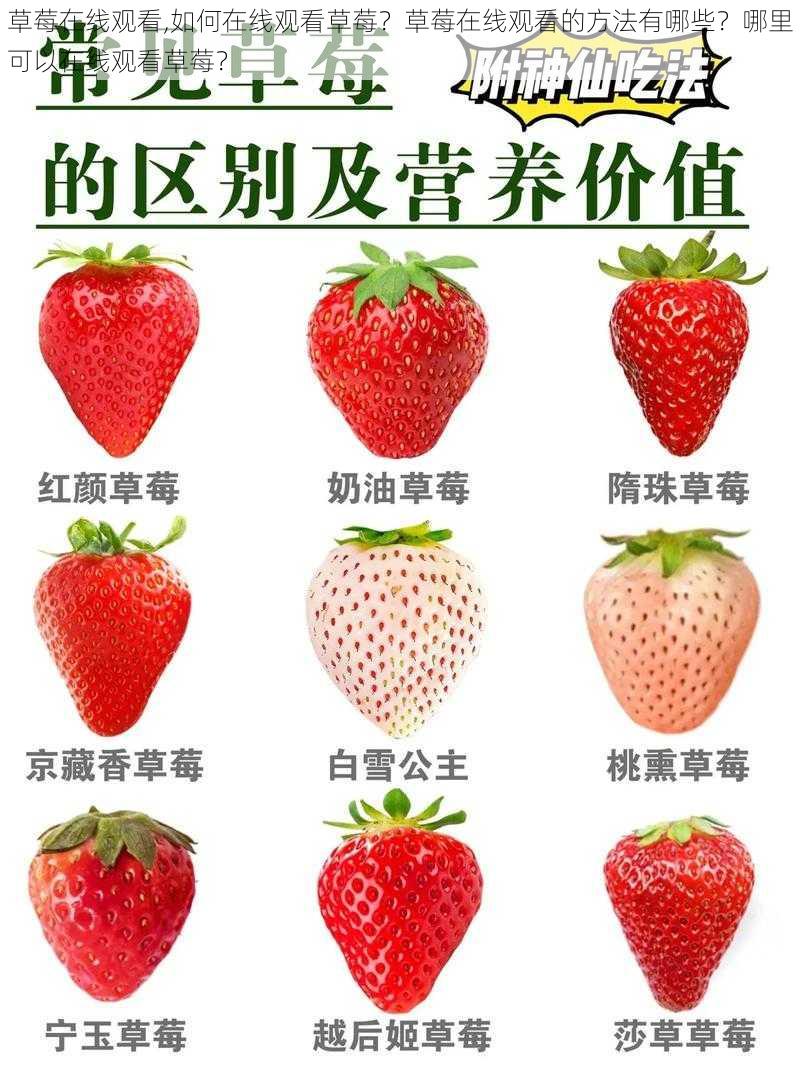 草莓在线观看,如何在线观看草莓?草莓在线观看的方法有哪些?哪里可以在线观看草莓?