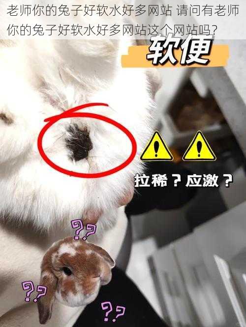 老师你的兔子好软水好多网站 请问有老师你的兔子好软水好多网站这个网站吗?