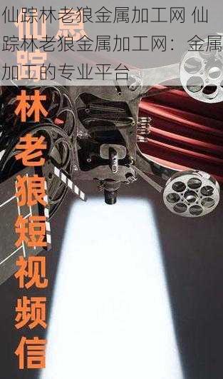 仙踪林老狼金属加工网 仙踪林老狼金属加工网:金属加工的专业平台