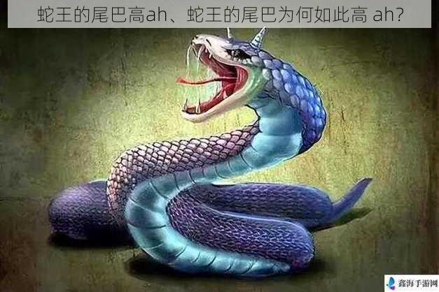 蛇王的尾巴高ah、蛇王的尾巴为何如此高 ah?