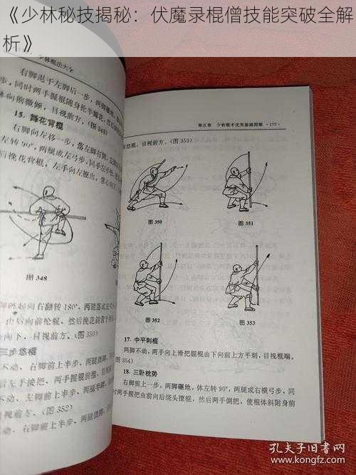 《少林秘技揭秘:伏魔录棍僧技能突破全解析》