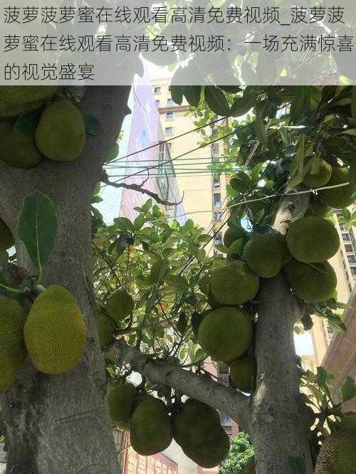 菠萝菠萝蜜在线观看高清免费视频_菠萝菠萝蜜在线观看高清免费视频:一场充满惊喜的视觉盛宴