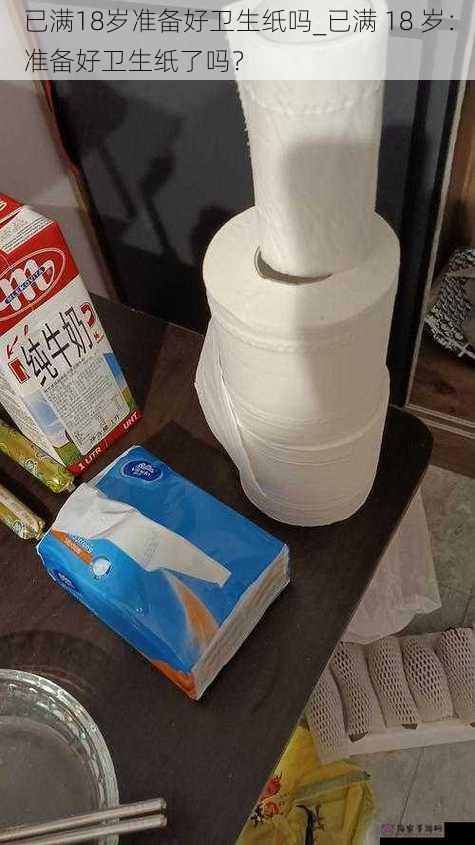 已满18岁准备好卫生纸吗_已满 18 岁:准备好卫生纸了吗?