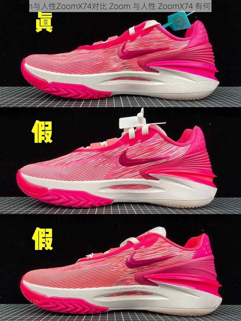 Zoom与人性ZoomX74对比 Zoom 与人性 ZoomX74 有何不同?
