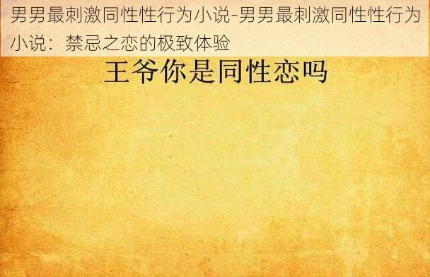 男男最刺激同性性行为小说-男男最刺激同性性行为小说:禁忌之恋的极致体验