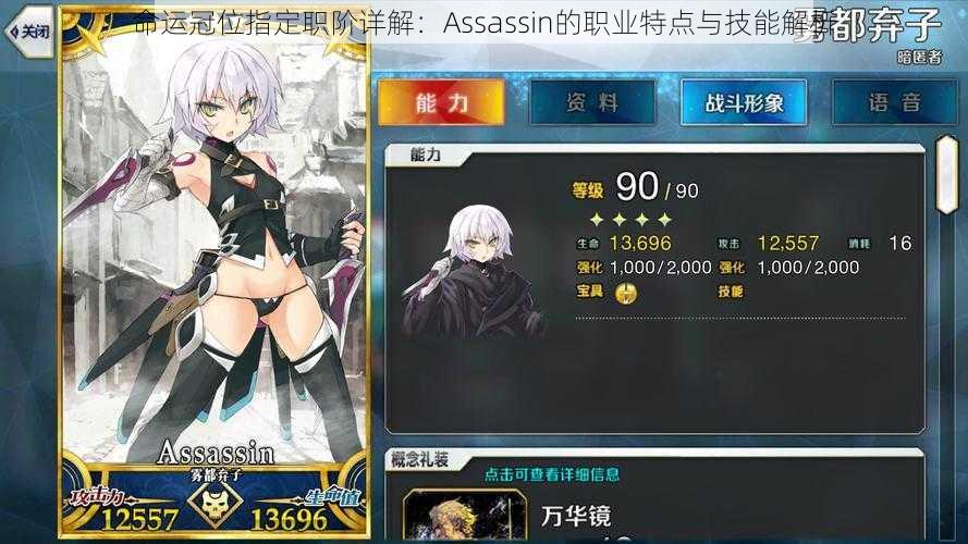 命运冠位指定职阶详解:Assassin的职业特点与技能解析