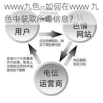 www九色—如何在www 九色中获取所需信息?