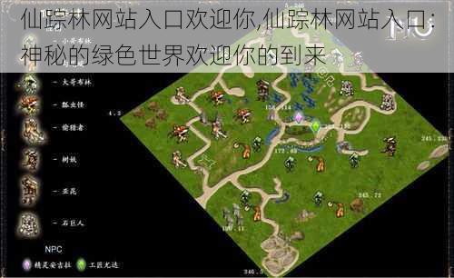 仙踪林网站入口欢迎你,仙踪林网站入口:神秘的绿色世界欢迎你的到来