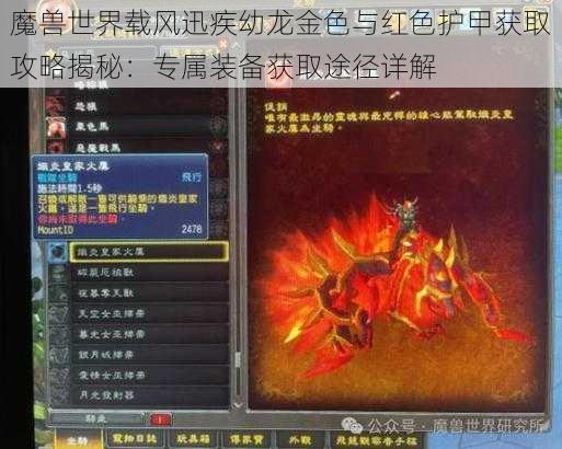 魔兽世界载风迅疾幼龙金色与红色护甲获取攻略揭秘:专属装备获取途径详解