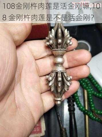 108金刚杵肉莲是活金刚嘛,108 金刚杵肉莲是不是活金刚?