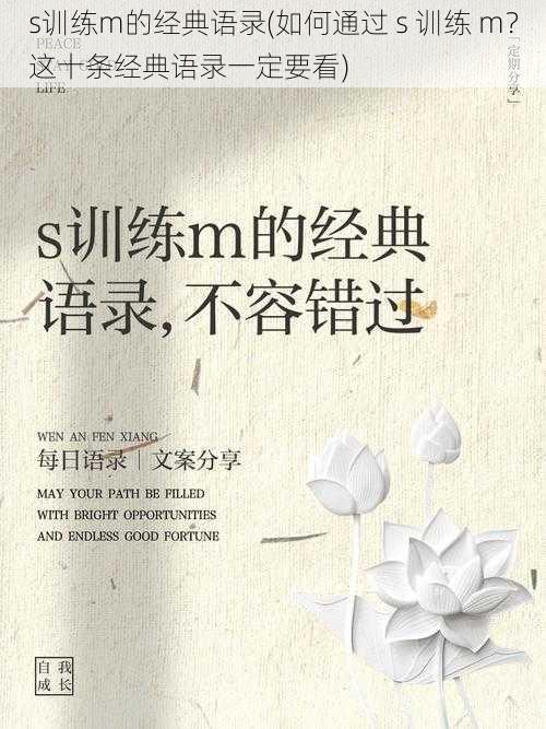 s训练m的经典语录(如何通过 s 训练 m?这十条经典语录一定要看)