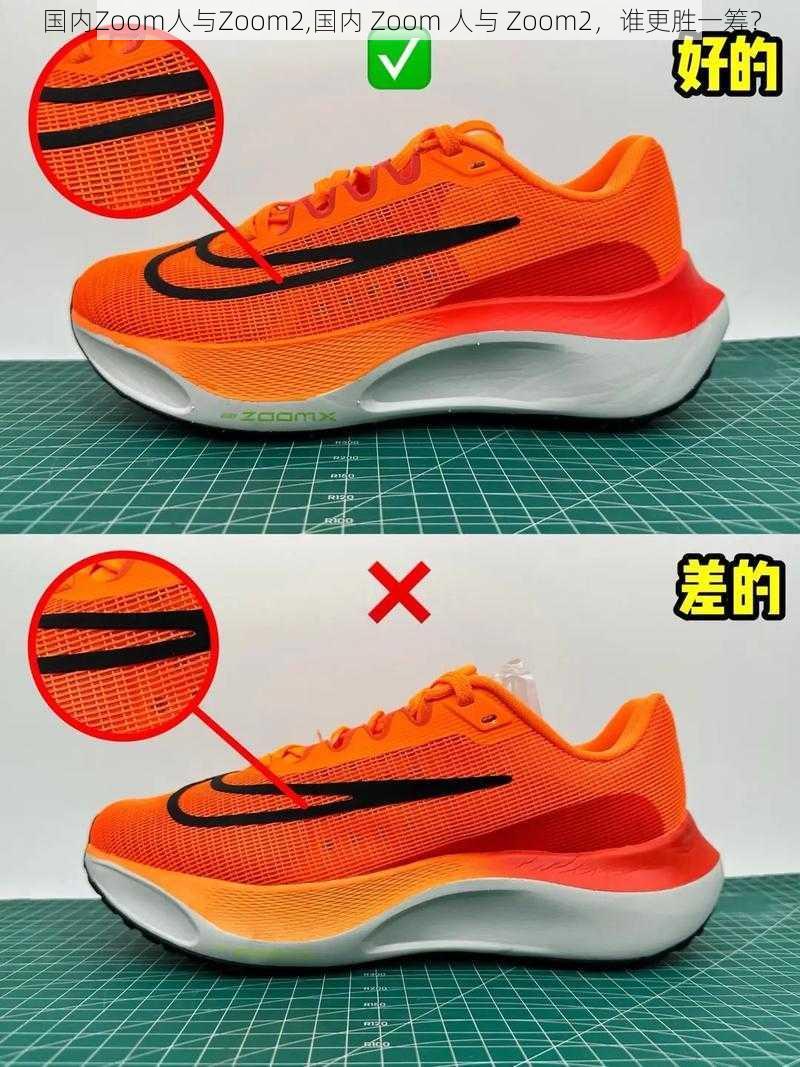 国内Zoom人与Zoom2,国内 Zoom 人与 Zoom2,谁更胜一筹?