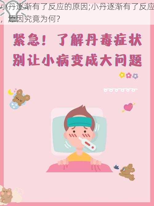 小丹逐渐有了反应的原因;小丹逐渐有了反应,原因究竟为何?