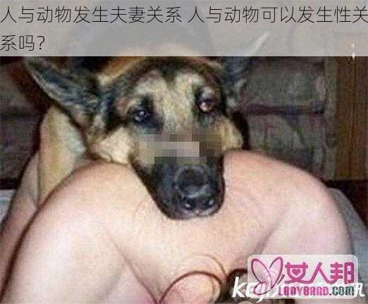 人与动物发生夫妻关系 人与动物可以发生性关系吗?