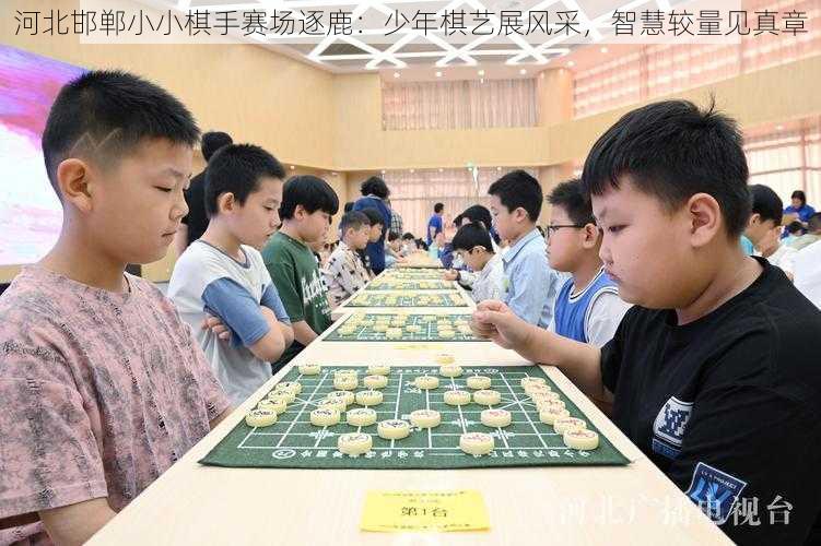河北邯郸小小棋手赛场逐鹿:少年棋艺展风采,智慧较量见真章