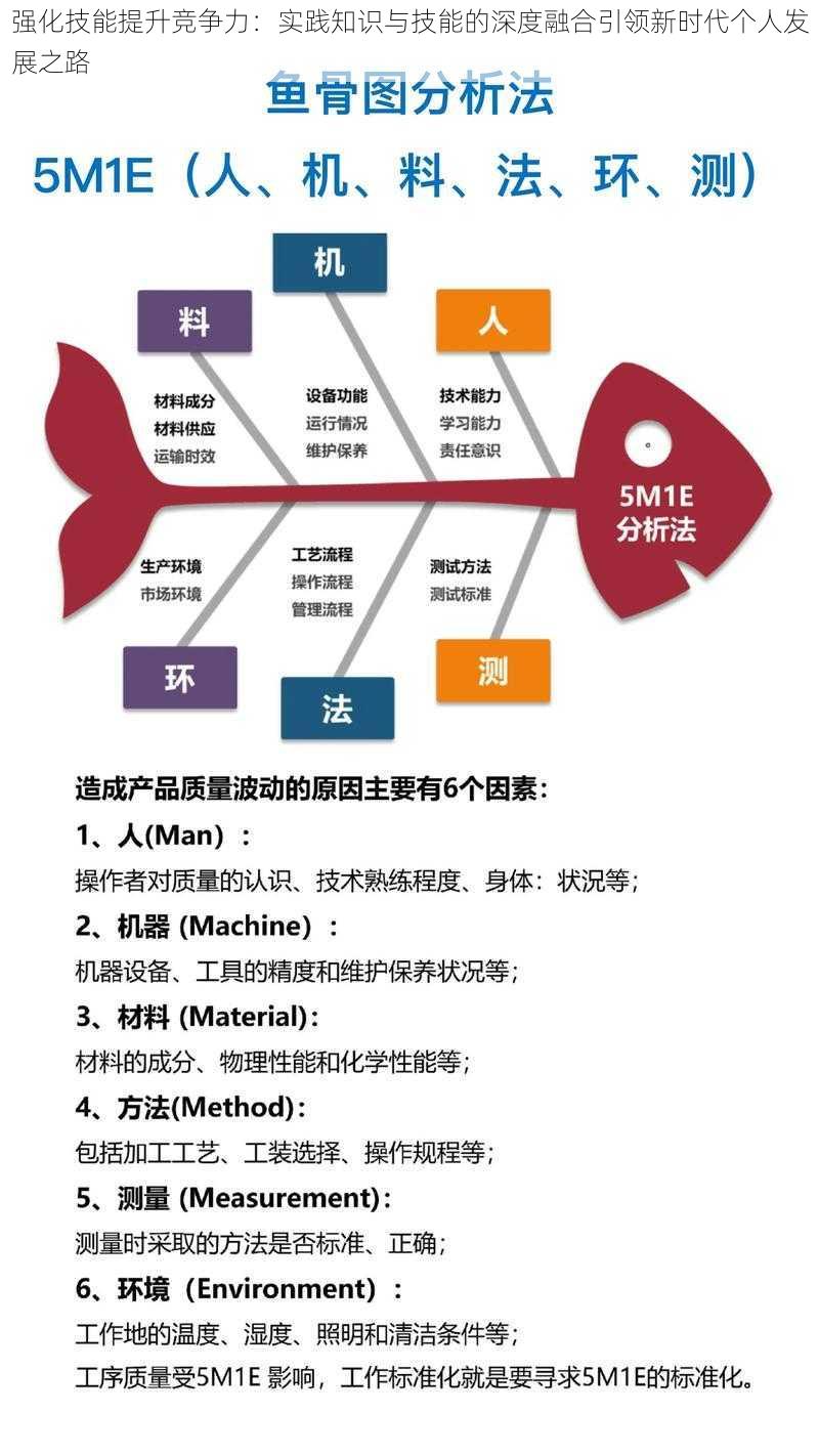 强化技能提升竞争力:实践知识与技能的深度融合引领新时代个人发展之路