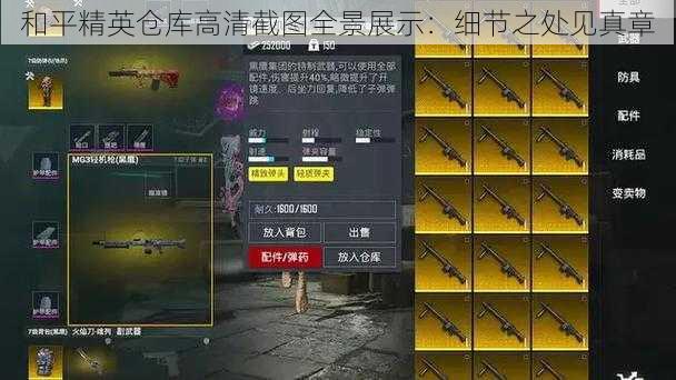 和平精英仓库高清截图全景展示:细节之处见真章