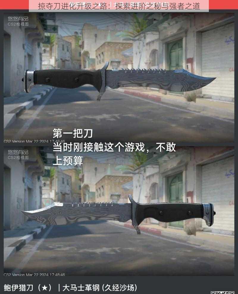 掠夺刀进化升级之路:探索进阶之秘与强者之道
