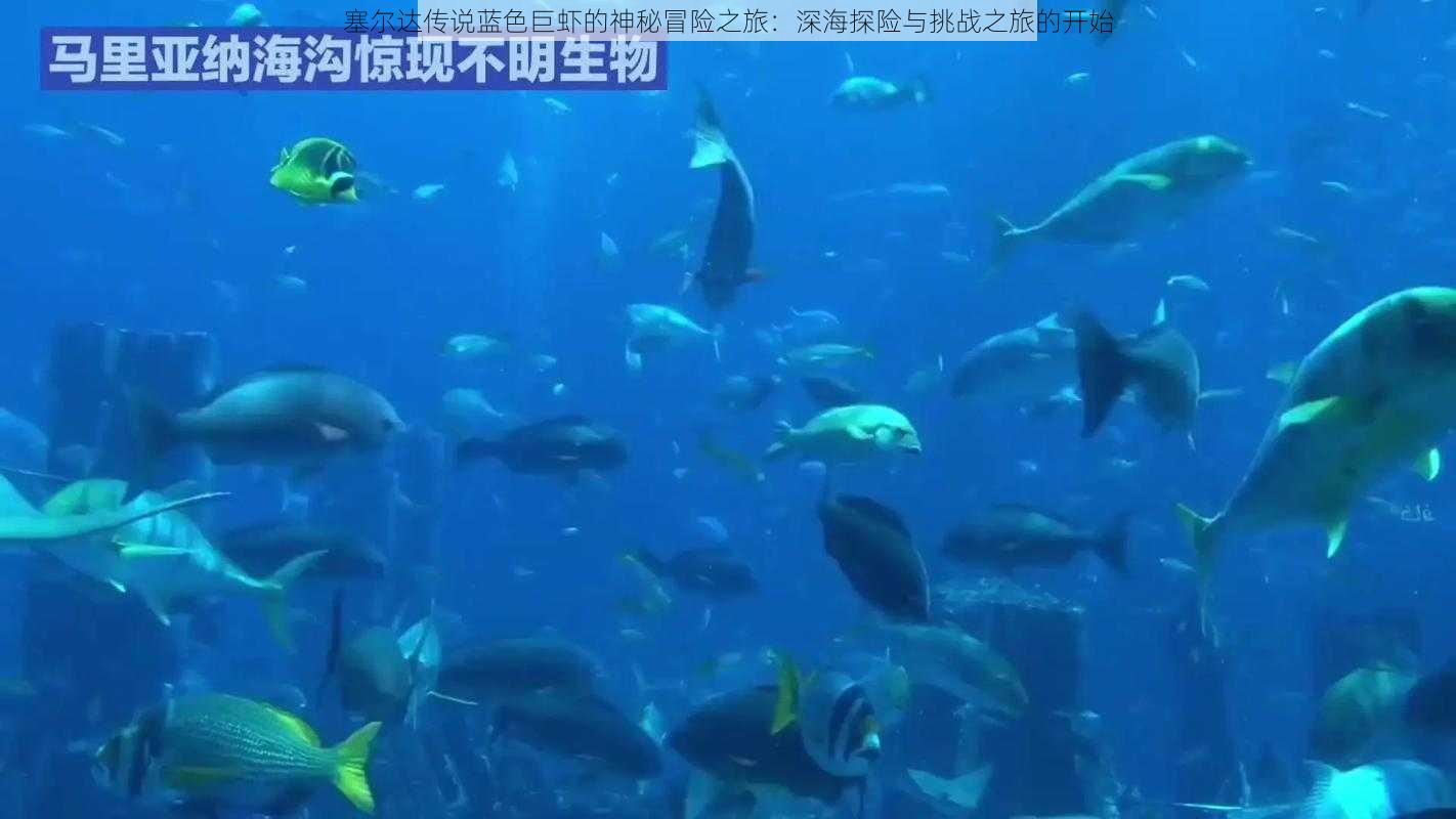 塞尔达传说蓝色巨虾的神秘冒险之旅:深海探险与挑战之旅的开始