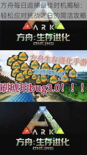 方舟每日追捕最佳时机揭秘:轻松应对挑战之日的简洁攻略