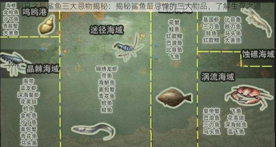 明日之后鲨鱼三大忌物揭秘:揭秘鲨鱼最忌惮的三大物品,了解生存之道