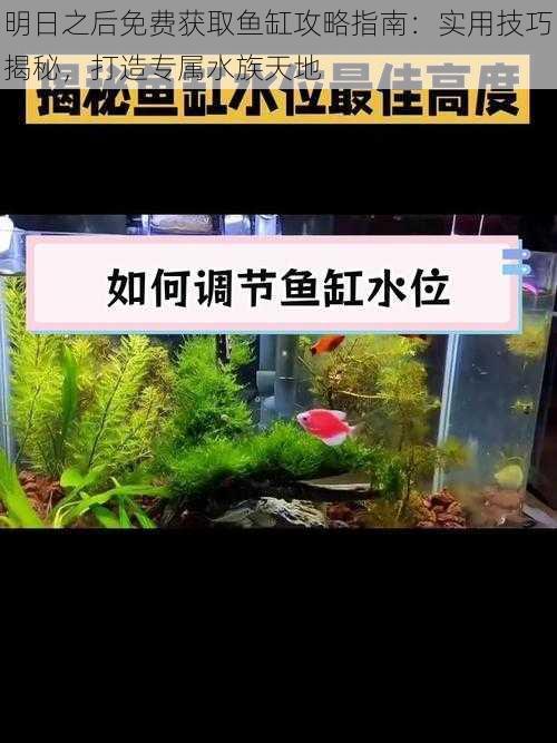 明日之后免费获取鱼缸攻略指南:实用技巧揭秘,打造专属水族天地