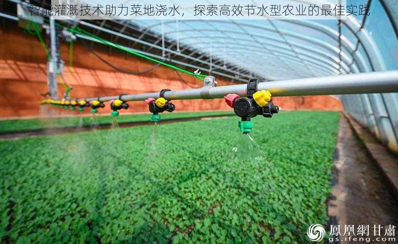 智能灌溉技术助力菜地浇水,探索高效节水型农业的最佳实践