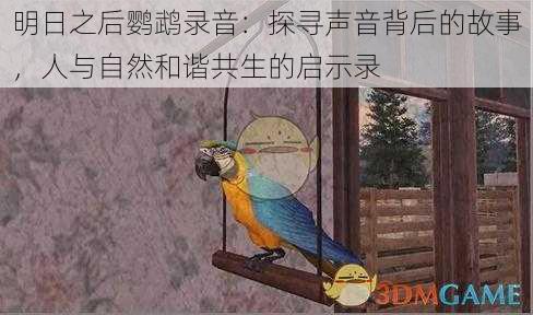明日之后鹦鹉录音:探寻声音背后的故事,人与自然和谐共生的启示录