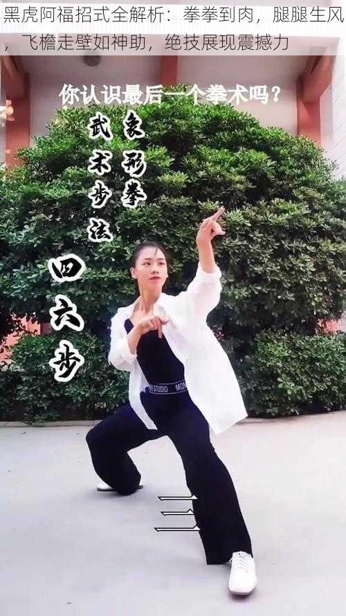 黑虎阿福招式全解析:拳拳到肉,腿腿生风,飞檐走壁如神助,绝技展现震撼力
