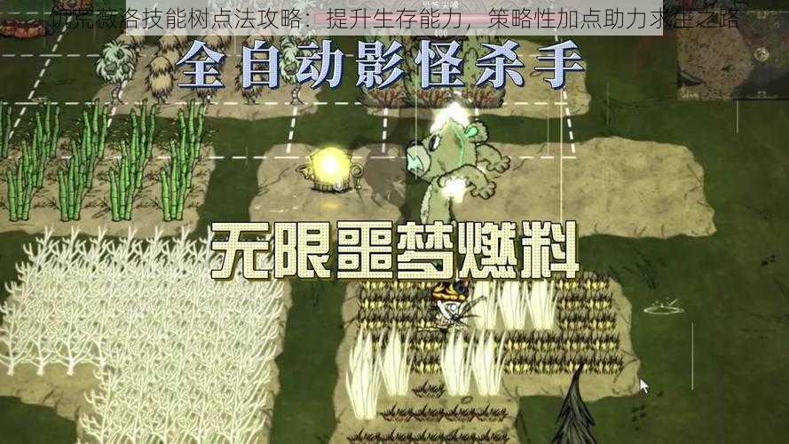 饥荒薇洛技能树点法攻略:提升生存能力,策略性加点助力求生之路