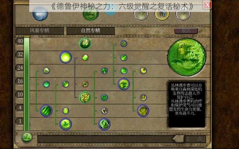 《德鲁伊神秘之力:六级觉醒之复活秘术》