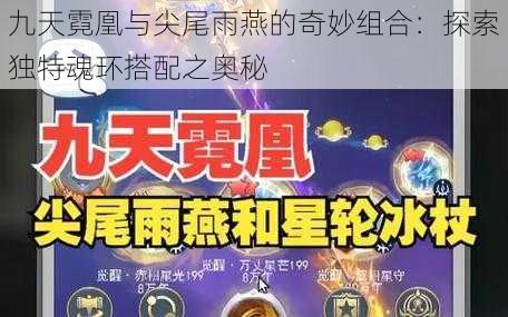 九天霓凰与尖尾雨燕的奇妙组合:探索独特魂环搭配之奥秘