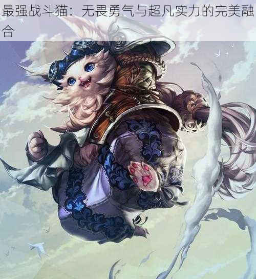 最强战斗猫:无畏勇气与超凡实力的完美融合